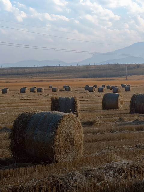  Agricultural Straw Harvesting